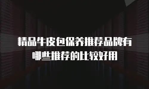 精品牛皮包保养推荐品牌有哪些推荐的比较好用