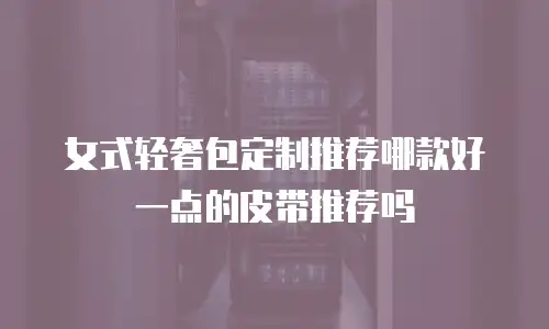 女式轻奢包定制推荐哪款好一点的皮带推荐吗