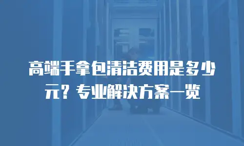 高端手拿包清洁费用是多少元？专业解决方案一览