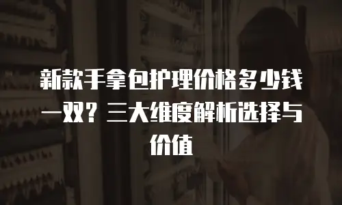 新款手拿包护理价格多少钱一双？三大维度解析选择与价值