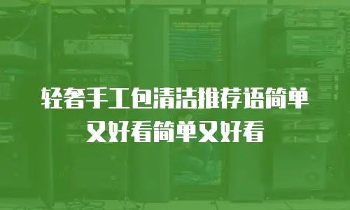 轻奢手工包清洁推荐语简单又好看简单又好看