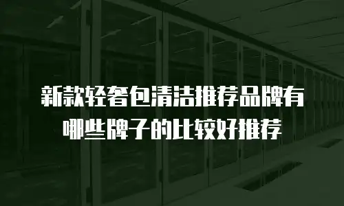 新款轻奢包清洁推荐品牌有哪些牌子的比较好推荐