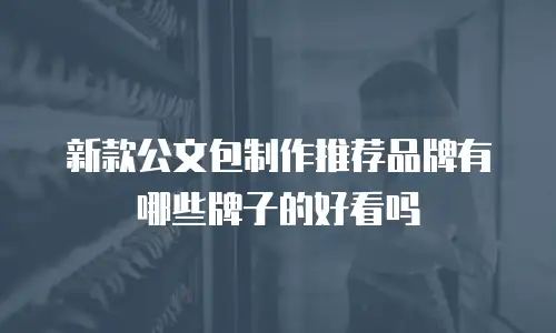 新款公文包制作推荐品牌有哪些牌子的好看吗