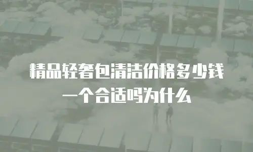 精品轻奢包清洁价格多少钱一个合适吗为什么