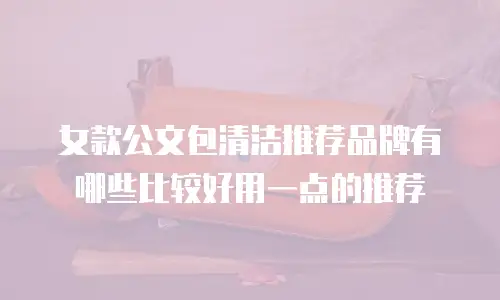 女款公文包清洁推荐品牌有哪些比较好用一点的推荐