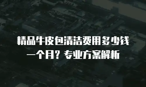 精品牛皮包清洁费用多少钱一个月？专业方案解析