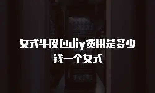 女式牛皮包diy费用是多少钱一个女式