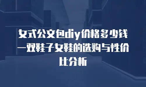 女式公文包diy价格多少钱 一双鞋子女鞋的选购与性价比分析