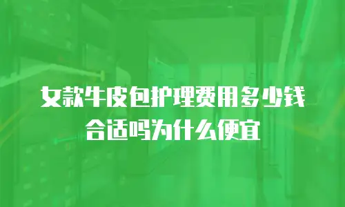 女款牛皮包护理费用多少钱合适吗为什么便宜