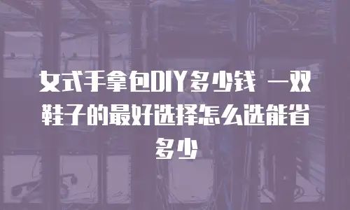女式手拿包DIY多少钱 一双鞋子的最好选择怎么选能省多少