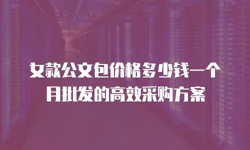 女款公文包价格多少钱一个月批发的高效采购方案