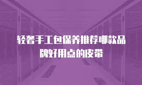 轻奢手工包保养推荐哪款品牌好用点的皮带