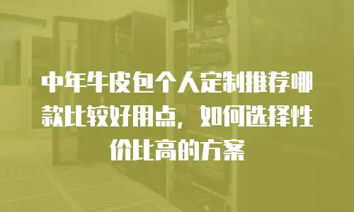 中年牛皮包个人定制推荐哪款比较好用点，如何选择性价比高的方案