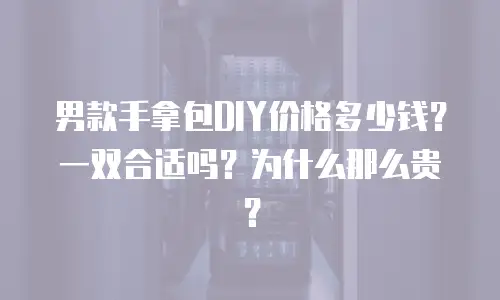 男款手拿包DIY价格多少钱？一双合适吗？为什么那么贵？