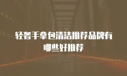 轻奢手拿包清洁推荐品牌有哪些好推荐