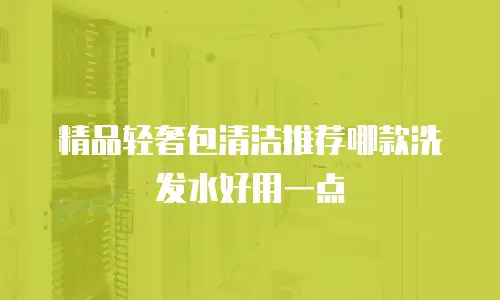 精品轻奢包清洁推荐哪款洗发水好用一点