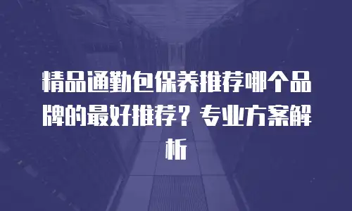 精品通勤包保养推荐哪个品牌的最好推荐？专业方案解析