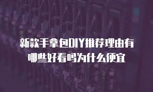 新款手拿包DIY推荐理由有哪些好看吗为什么便宜