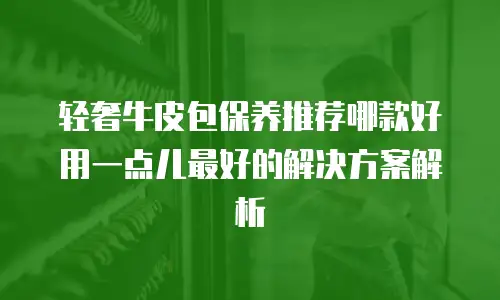 轻奢牛皮包保养推荐哪款好用一点儿最好的解决方案解析