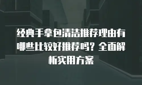 经典手拿包清洁推荐理由有哪些比较好推荐吗？全面解析实用方案