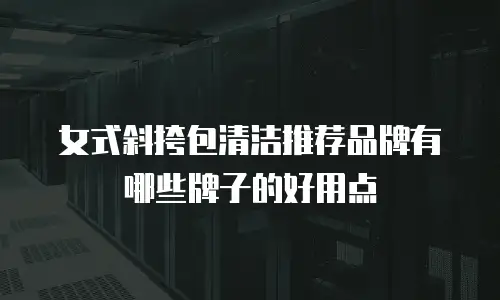 女式斜挎包清洁推荐品牌有哪些牌子的好用点
