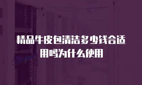 精品牛皮包清洁多少钱合适用吗为什么使用