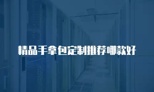 精品手拿包定制推荐哪款好