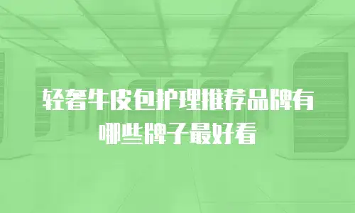 轻奢牛皮包护理推荐品牌有哪些牌子最好看