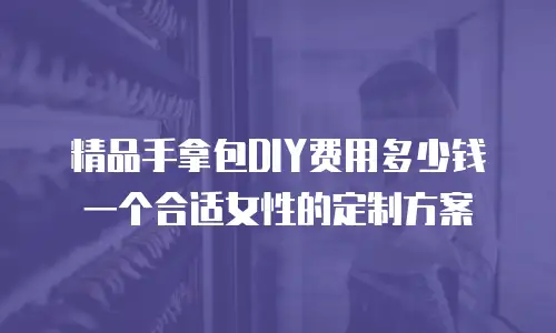 精品手拿包DIY费用多少钱一个合适女性的定制方案