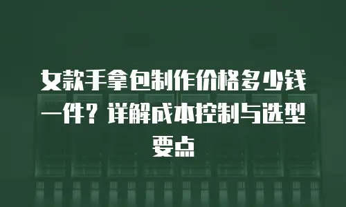 女款手拿包制作价格多少钱一件？详解成本控制与选型要点