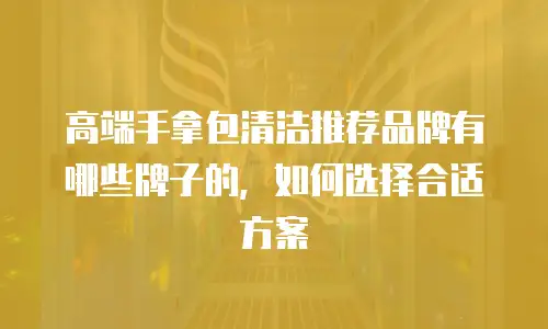 高端手拿包清洁推荐品牌有哪些牌子的，如何选择合适方案