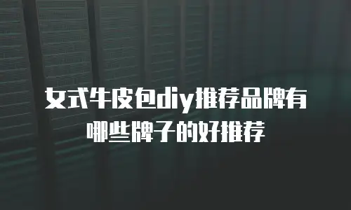 女式牛皮包diy推荐品牌有哪些牌子的好推荐