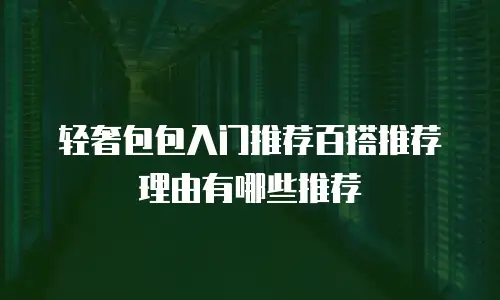 轻奢包包入门推荐百搭推荐理由有哪些推荐