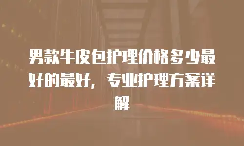 男款牛皮包护理价格多少最好的最好，专业护理方案详解