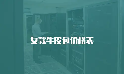 女款牛皮包价格表
