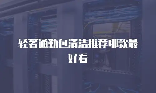 轻奢通勤包清洁推荐哪款最好看