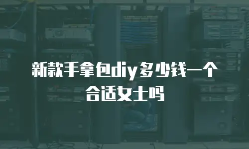 新款手拿包diy多少钱一个合适女士吗
