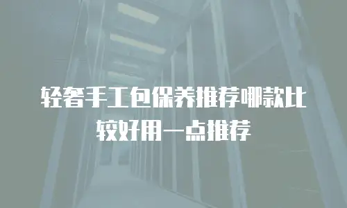 轻奢手工包保养推荐哪款比较好用一点推荐