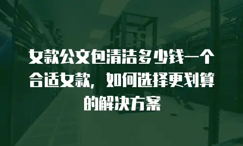 女款公文包清洁多少钱一个合适女款，如何选择更划算的解决方案