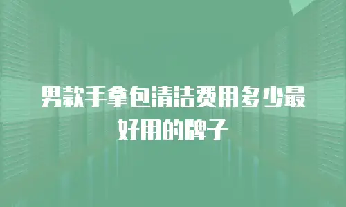 男款手拿包清洁费用多少最好用的牌子