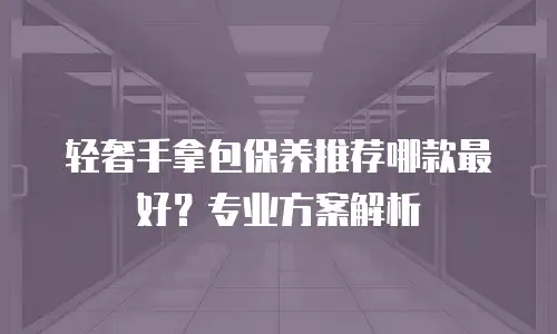 轻奢手拿包保养推荐哪款最好？专业方案解析