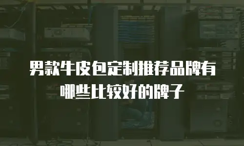 男款牛皮包定制推荐品牌有哪些比较好的牌子