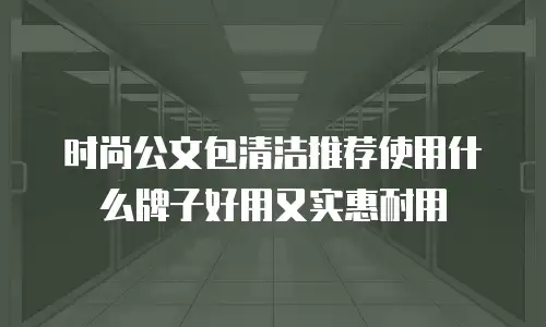 时尚公文包清洁推荐使用什么牌子好用又实惠耐用