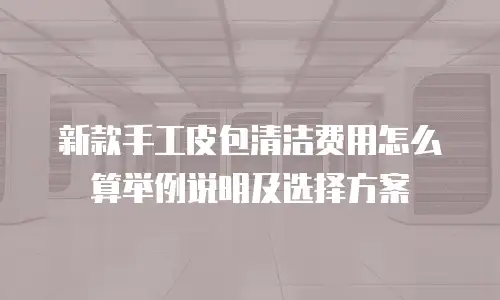 新款手工皮包清洁费用怎么算举例说明及选择方案