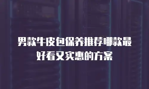 男款牛皮包保养推荐哪款最好看又实惠的方案