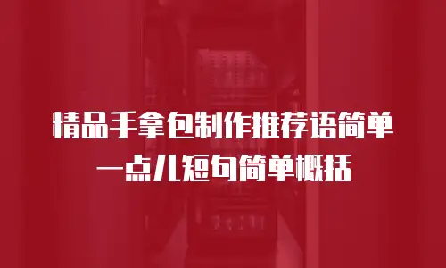 精品手拿包制作推荐语简单一点儿短句简单概括