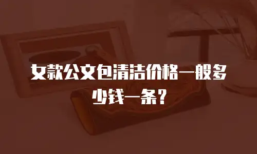 女款公文包清洁价格一般多少钱一条？