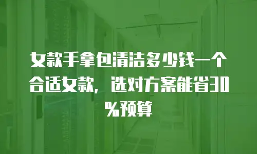 女款手拿包清洁多少钱一个合适女款，选对方案能省30%预算