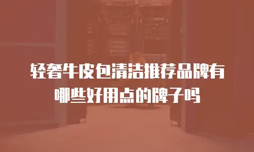 轻奢牛皮包清洁推荐品牌有哪些好用点的牌子吗
