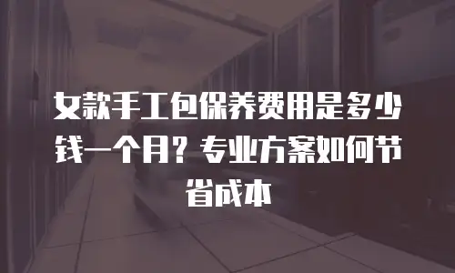 女款手工包保养费用是多少钱一个月？专业方案如何节省成本